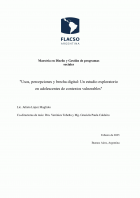 Usos, percepciones y brecha digital