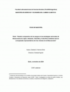 Estudio comparativo de los sesgos en las estrategias nacionales de Bioeconomía de Japón, Alemania, Colombia y Costa Rica mediante marcos conceptuales representativos de tres visiones de la Bioeconomía